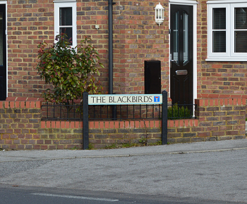 The site of the Red Lion or Blackbirds February 2013